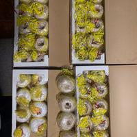 Cotone per maglieria