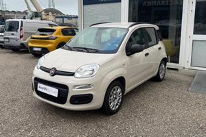 FIAT Panda 3ª serie - Panda 1.2 Young