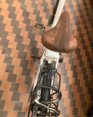 Bici elettrica