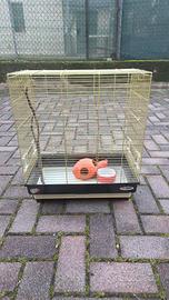 gabbia per canarino 