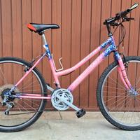 mountain-bike 