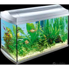 acquario 60lt.