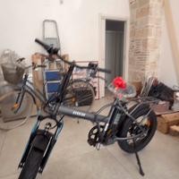 Bici elettrica a pedalata assistita  fat bike