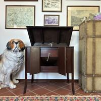 Mobile Grammofono a manovella - Ribasso