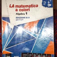 La matematica a colori 1