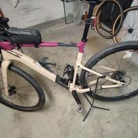 Topstone 3  Carbon Tg M 