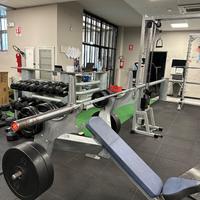 Panca inclinata professionale