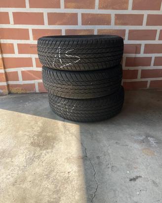 gomme invernali  