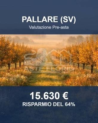 Immobile in asta di 39480 m² a Pallare