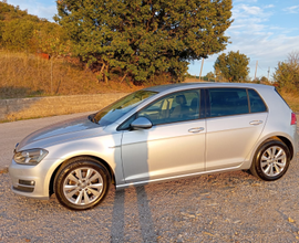 Volkswagen Golf 7 1.4 TGI Highline Blue