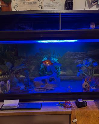 Acquario LT 150