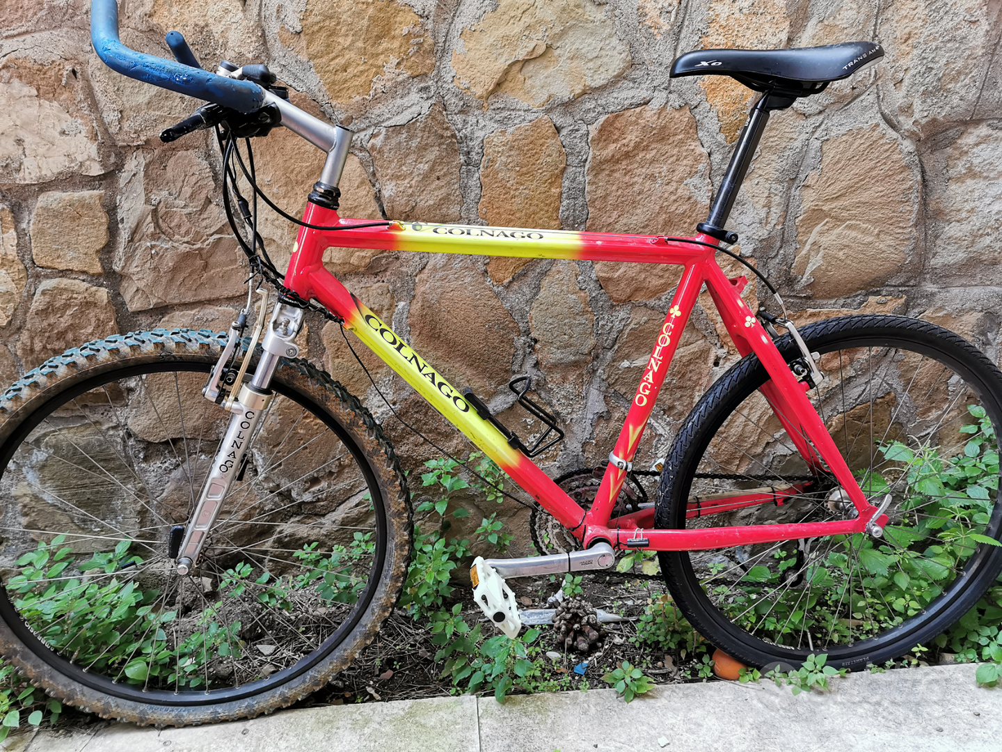 Colnago best sale master mtb