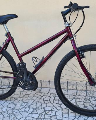 Bici MTB donna  Roger