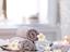 Immagine 19