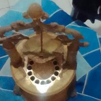 porta sigarette con carillon 