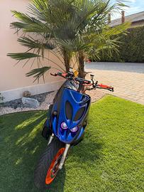phanthom f12