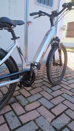 bici elettrica