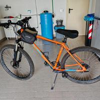 Bicicletta Mountain bike
