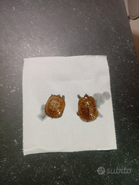 Tartarughe terrapene carolina triunguis