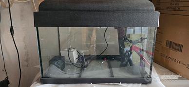 aquario piccole dimensioni 