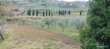 Terreno agricolo zona Moio Ad gropoli
