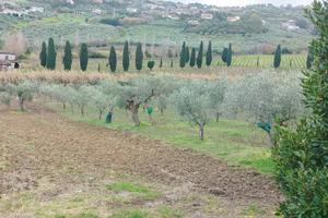 Terreno agricolo zona Moio Ad gropoli