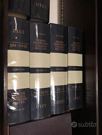 Dizionario Italiano De Mauro