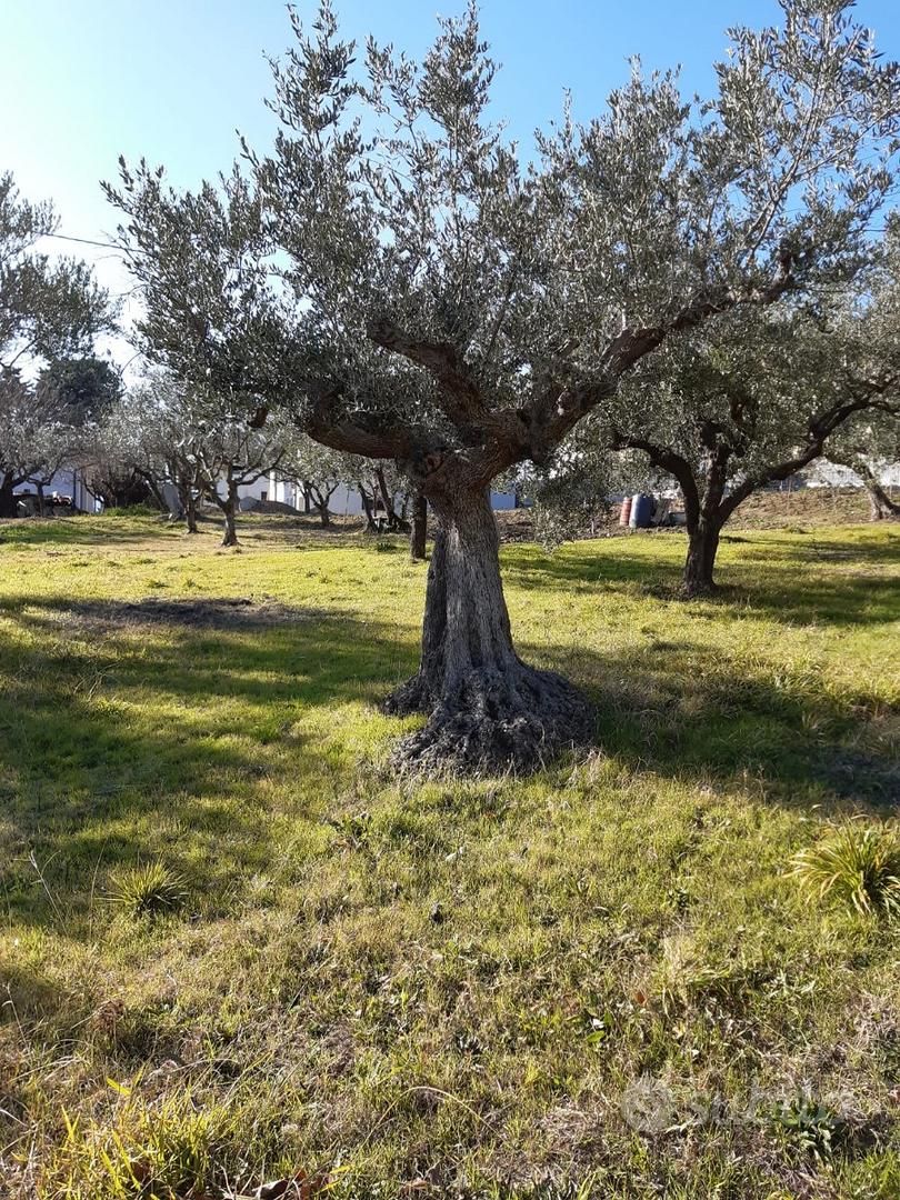 Terreno edificabile - Vista 2