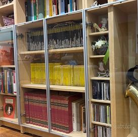 Ante in vetro e acciaio per mobili o libreria