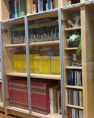Ante in vetro e acciaio per mobili o libreria