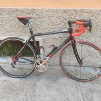 bdc cinelli willin