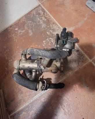 Egr 1.3mjt