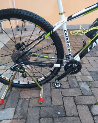 Bici Mtb