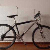 bicicletta Mountain bike 