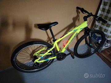 bicicletta 