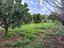 Immagine 26