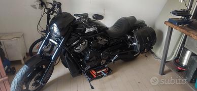  night rod 2006 