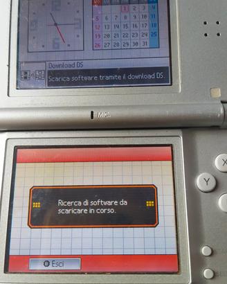 Nintendo  Ds lite