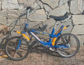 Bici salta foss