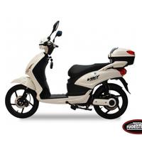 LEM MOTOR Scooter E-Bike Viky, 500W