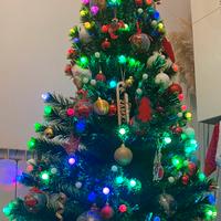 Albero di natale von le luci attaccate