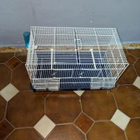 gabbia per pappagalli 