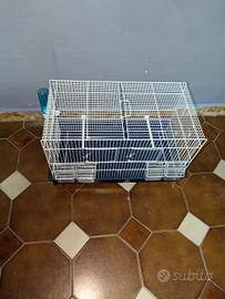 gabbia per pappagalli 