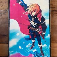 Quadretti Capitan Harlock