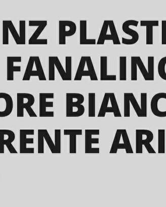 nsu prinz plastica fanalino