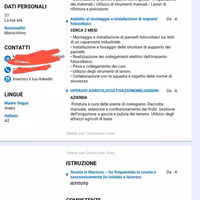 ADDETTO AL GESSO E ALLE DECORAZIONI 