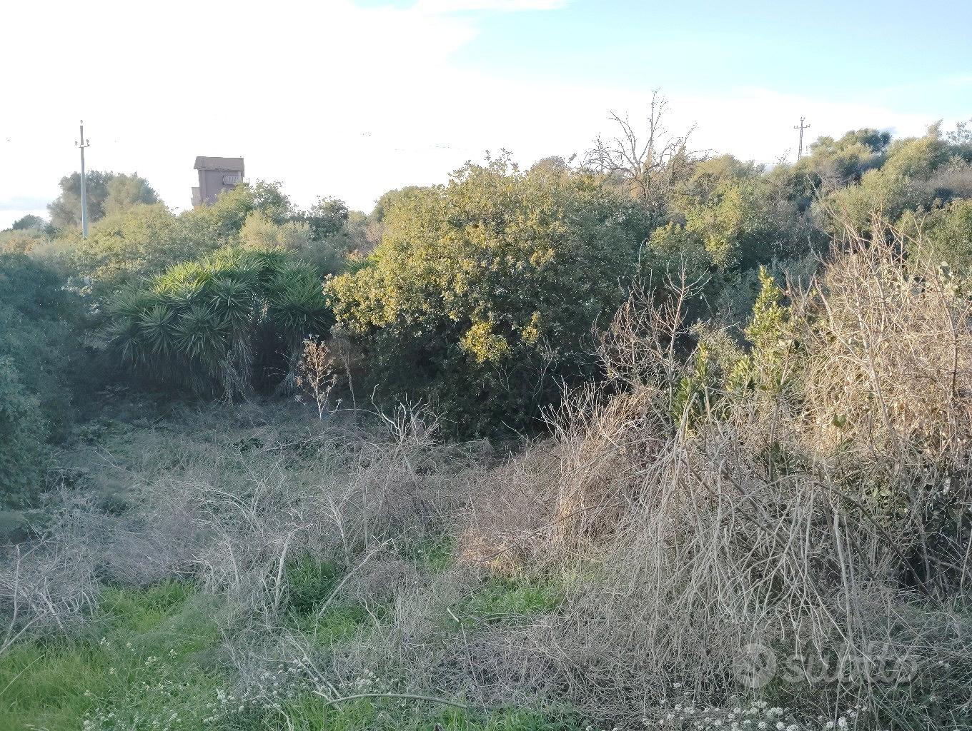 Terreno con Rudere Madonna degli Ammalati - Vista 5