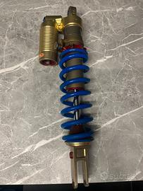 monoammortizzatore solva x kawasaki