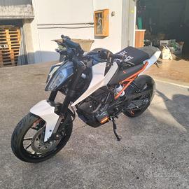 KTM DUKE 125_2020_RADIATA SOLO EXPORT