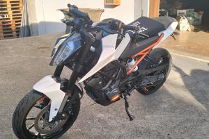 KTM DUKE 125_2020_RADIATA SOLO EXPORT